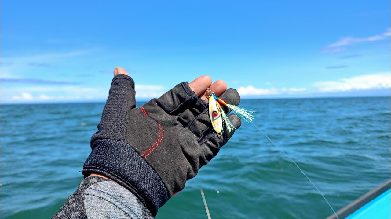 Sampe Encok.. Terlalu Kasar Para Predator Disini 😬