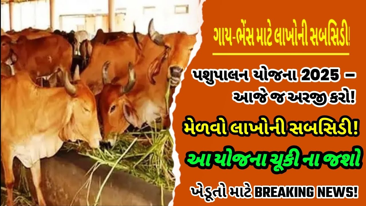 નવી પશુપાલન સ્કીમ LIVE – શું તમે અરજી કરી