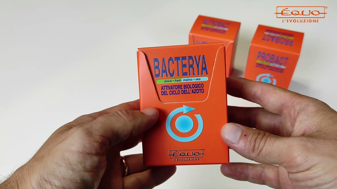 EQUO Bacterya 5ml - 24 Ampoules