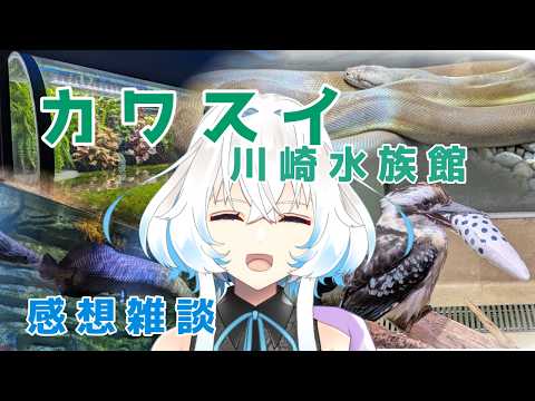 【 カワスイ 川崎水族館 】詳しく知ればかなり面白い！バックヤードも行ったぞ！【 感想雑談 】