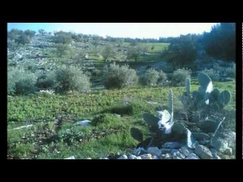 يا أردن المنشد خالد الذنيبات