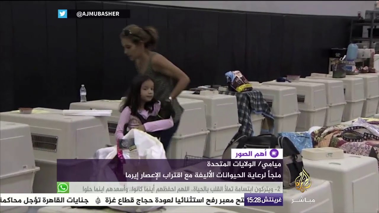 نقل الحيوانات في ميامي بأمريكا بسبب إعصار إيرما