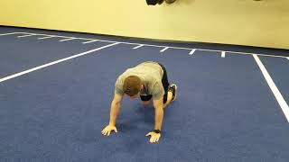 Quadruped Lateral Crawl