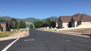 D Sl 2828 W Briggs Engine In Action