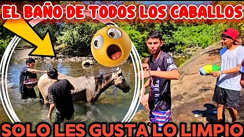 MIREN EL DATO CURIOSO SOBRE LOS CABALLOS😱😳