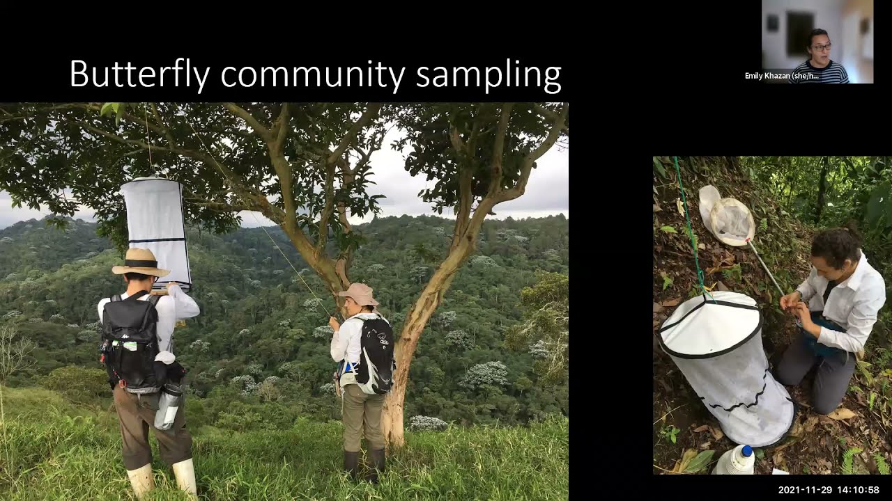 "Thermal Physiology and Community Ecology of Butterflies of the Colombian Andes"