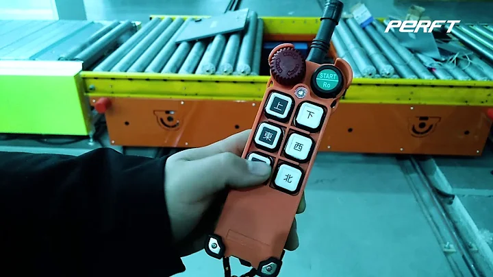 RGV 500kg pallet tranfser cart rail guided vehicle