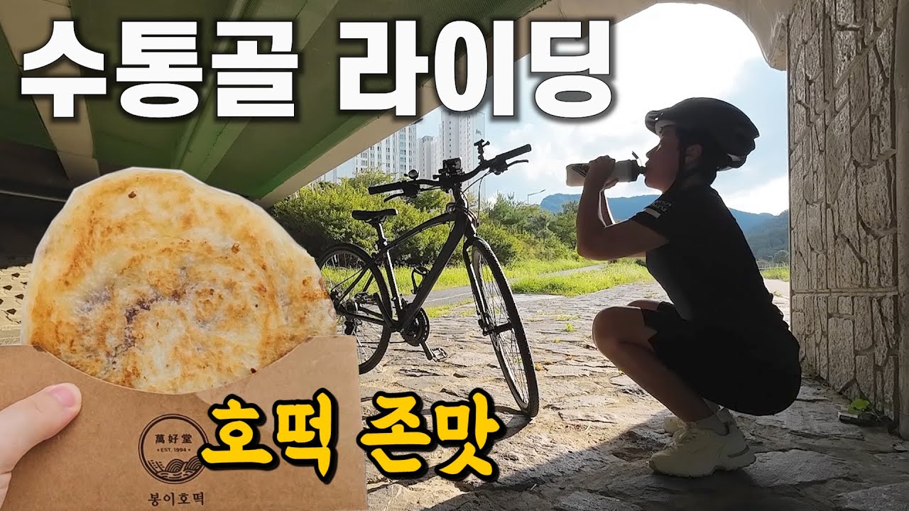 대전 현지인들만 아는 핫플장소와 산책코스 (나혼자 자전거🚴‍♀️)