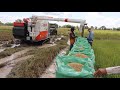 Best Rice Harvester Machine Skills Work | Kubota DC105x Cabin Harvesting | Agriculture In Cambodia
