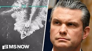 Celebrity 'He should resign': Dem Rep. calls out Hegseth  Wealth
