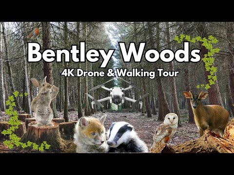 Bentley Woods - 4K DJI Mini 4 Pro Drone & Walking Tour - 1st Feb 2024 .