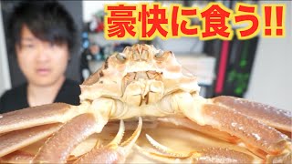 元気なズワイガニをそのまま茹でて豪快に食う！！