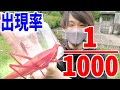 昆虫採集YouTuberと行った昆虫採集が企画どころじゃなくなりました