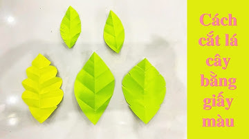 Hướng Dẫn Cách Cắt Lá Cây Bằng Giấy Màu Đơn Giản Mà Đẹp Mắt