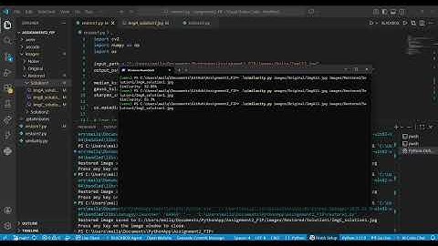 Assignment 2 Demo Video