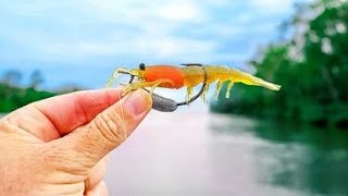 Is This The Best PRAWN LURE 