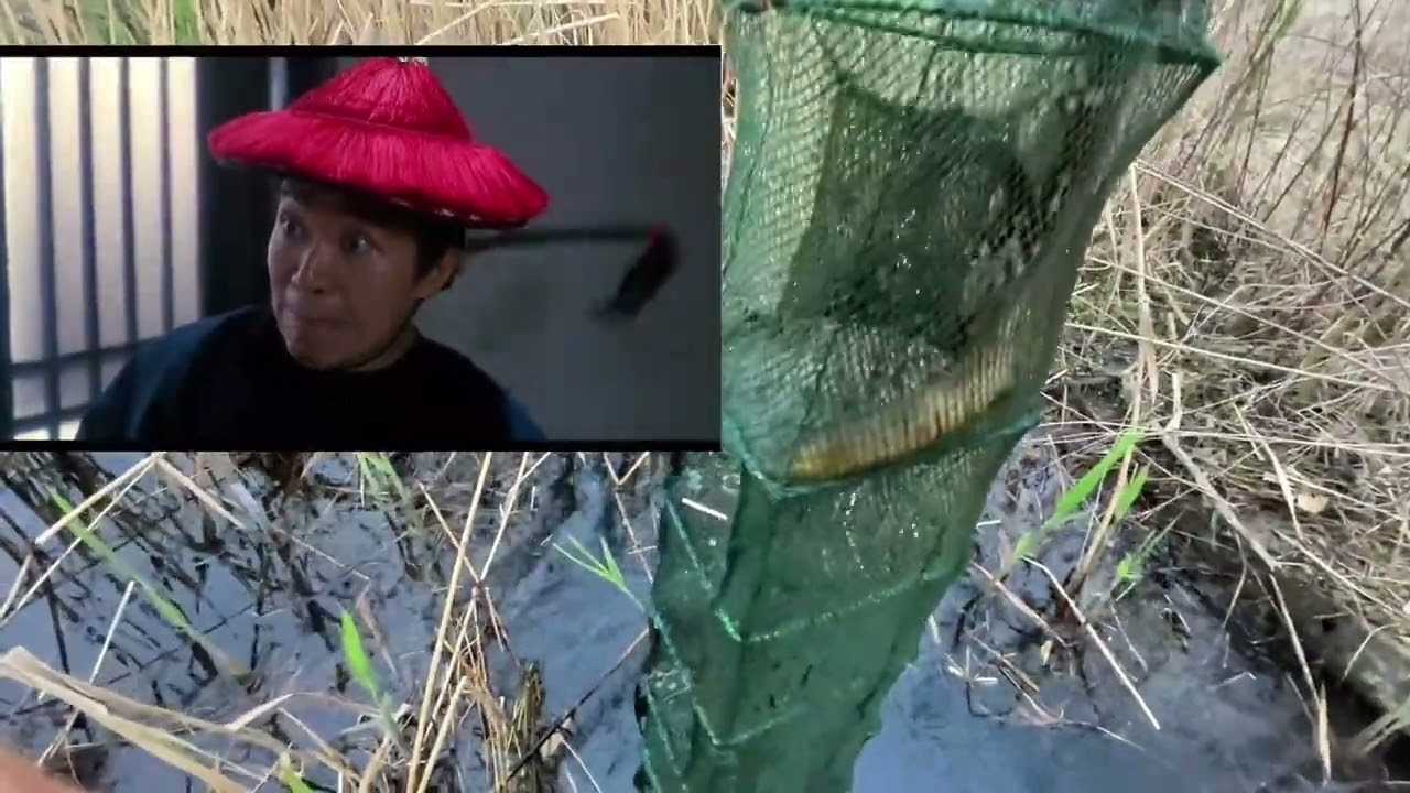 新网下水有货，就是比不上老六的速度！ #户外捕鱼  #户外 #真实户外  #户外抓黄鳝