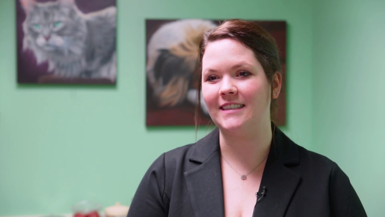 to Animal Clinic of North Topeka YouTube