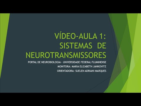 [VÍDEO-AULA 1] Neurotransmissores - Introdução