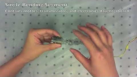 Modular Continuum Robotic Endoscope Design and Path Planning