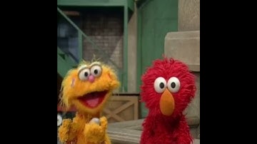 Rocco our favorite rock