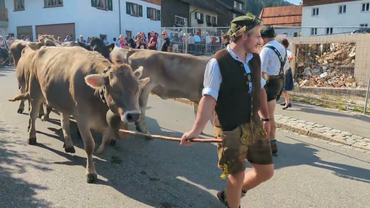 Viehscheid Kranzegg 08.09.2023