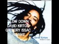 Capture de la vidéo Slow Down, David Kirton Performs Gregory Issac Cover