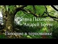 Галина Пахомова Андрей Бочче   Поющие в терновнике