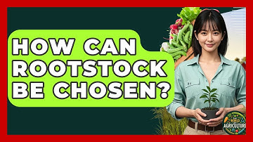 How Can Rootstock Be Chosen? - The World of Agriculture