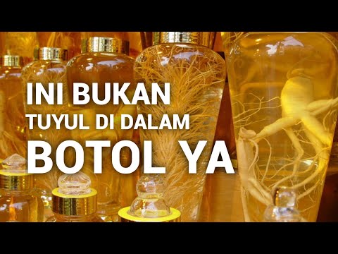 Video: Bagaimana cara menggunakan ginseng segar?