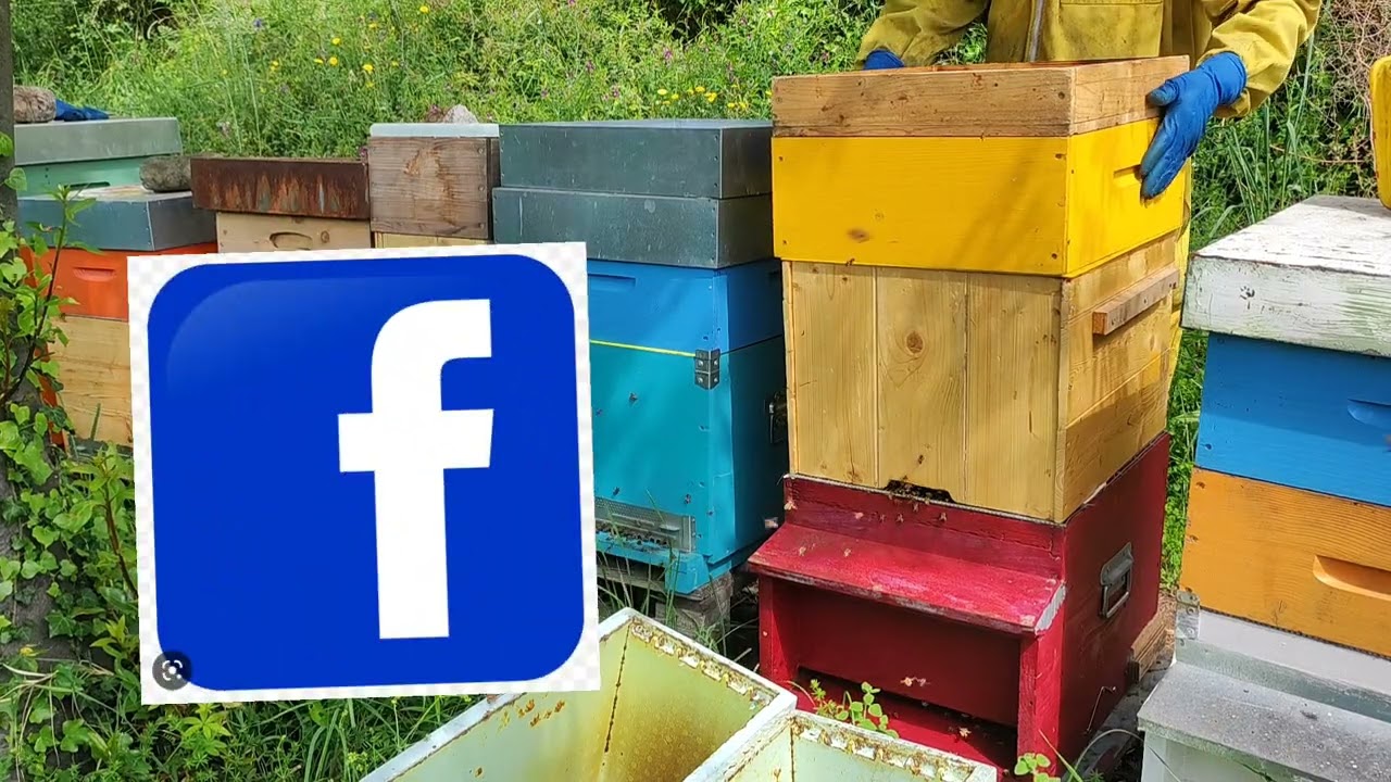 ma e vero che con arnia condominio = famiglie forte e più miele ??