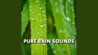 Rain Nature Sounds