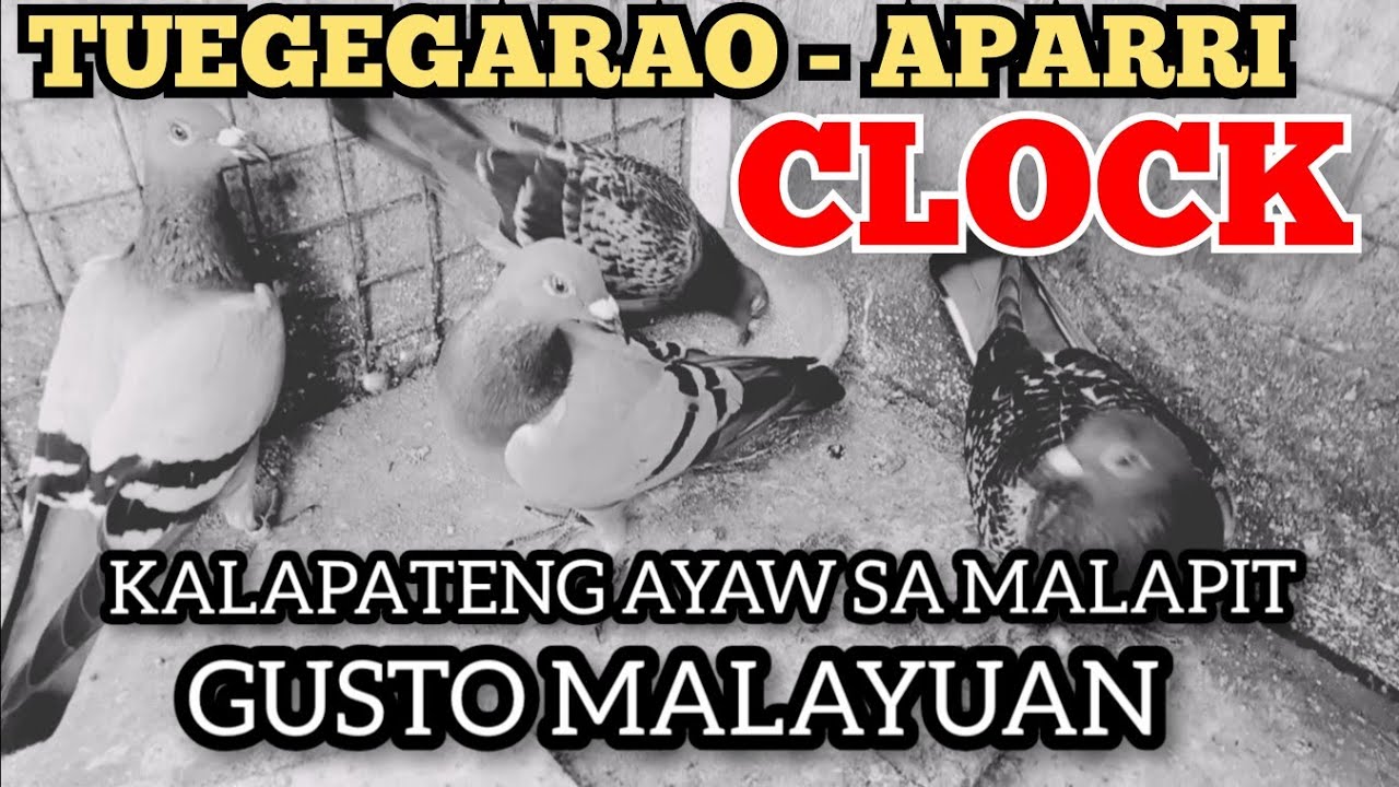 KALAPATENG AYAW SA MALAPIT GUSTO PANG WALAYUAN #PSU TUEGEGARAO -CLOCK