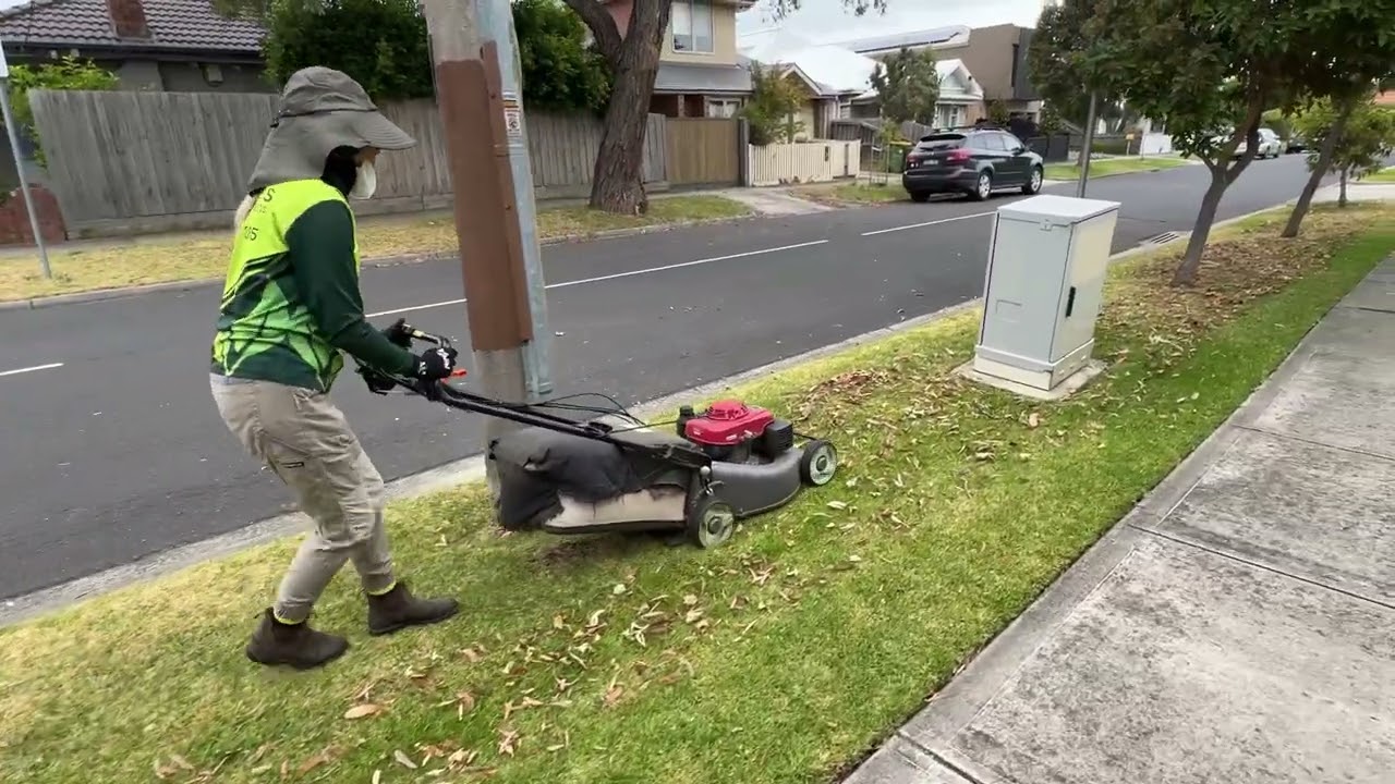 Picking up fallen leaves with a 21 inch Honda Lawnmower 