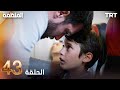مسلسل المنظمة | الحلقة 43