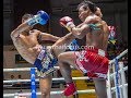 Muay thai knockouts   passion