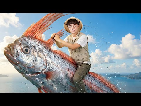 심해산갈치를 구조하자!