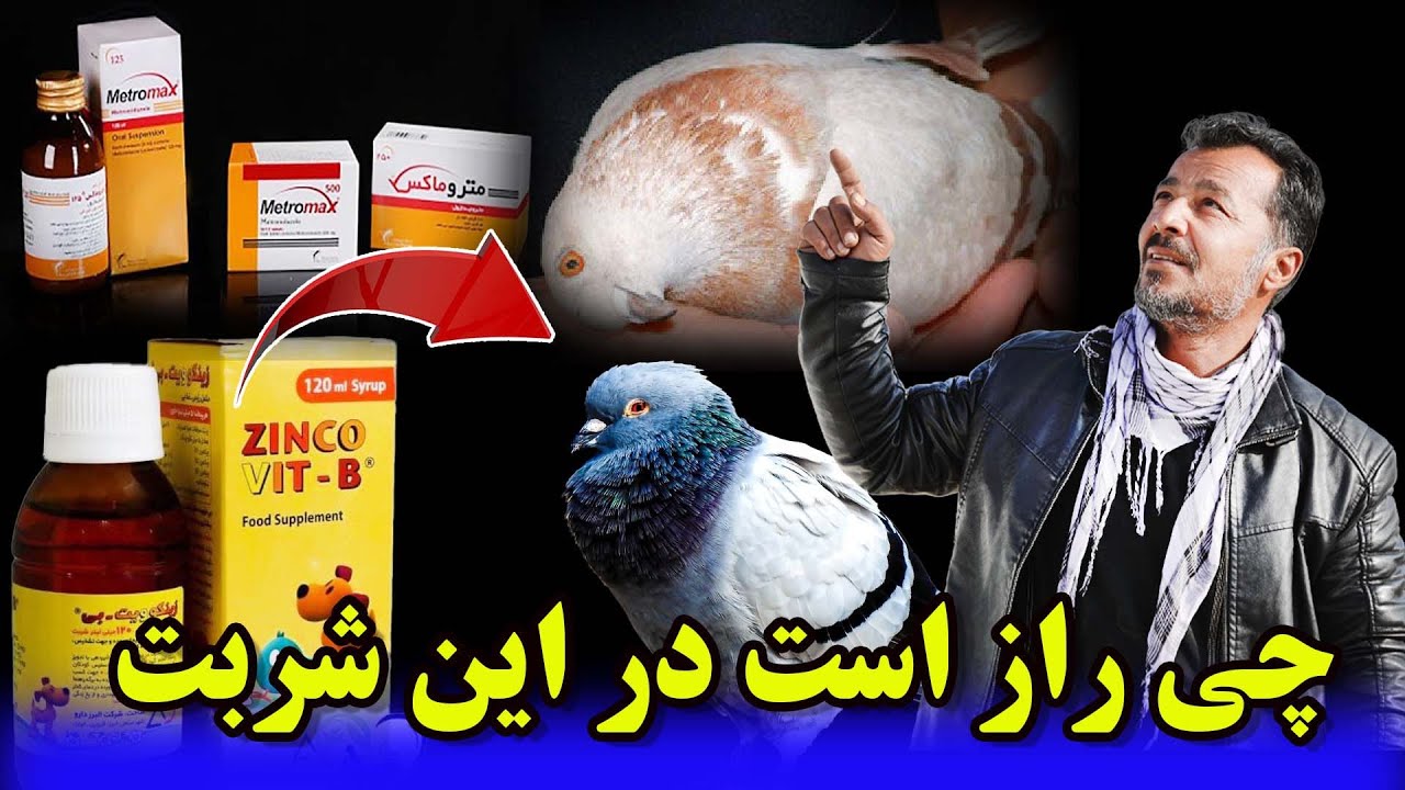 چی راز است در این شربت؟/ عبدالباقی سلطانی/012Afghan Shawqi