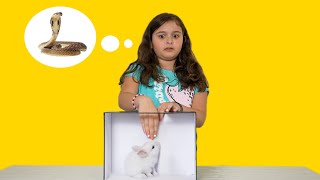 WHAT'S IN THE BOX CHALLENGE (EXOTIC ANIMALS)