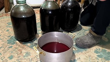 Making Homemade Wine! Part 3 | Fermentation & Clarification Process