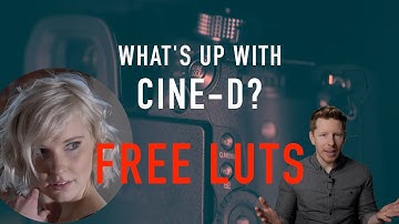 Colour Correcting Cine-D - Free LUTs | Panasonic GH5 GH5S G9 G85