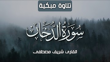 تلاوة مبكية  سورة الدخان  القارئ شريف مصطفى ارح قلبك