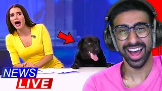 Funniest Animal News Bloopers!