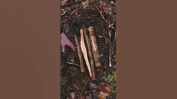 How To Make A Fire In The Rain 