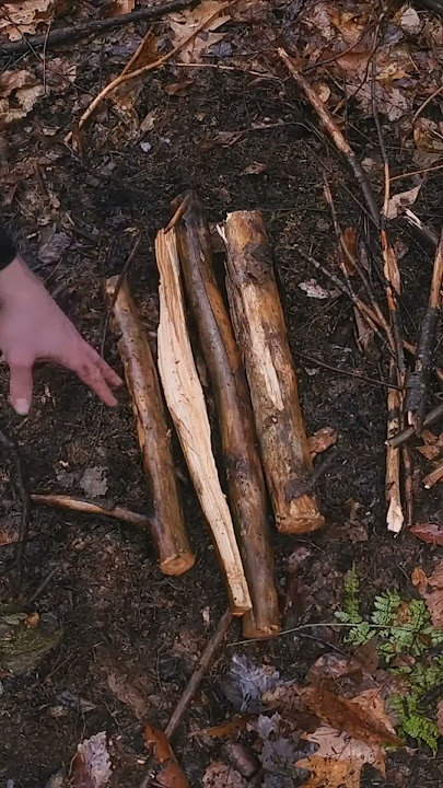 How to make a fire in the rain 🌧 🔥