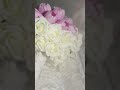 قوم هلي بينا قوم هلي بينا