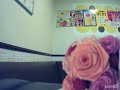 中森明菜/kodou【うたスキ動画】