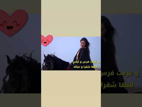 بين العصر والمغرب مرت لمة خيالة عادل المختار