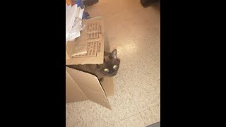 Space geeks Babylon 5 season 1 halfway talk