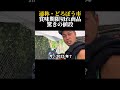 流石に、賞味期限1年切れてるのは食べる勇気なかった#shorts#YouTubeShorts